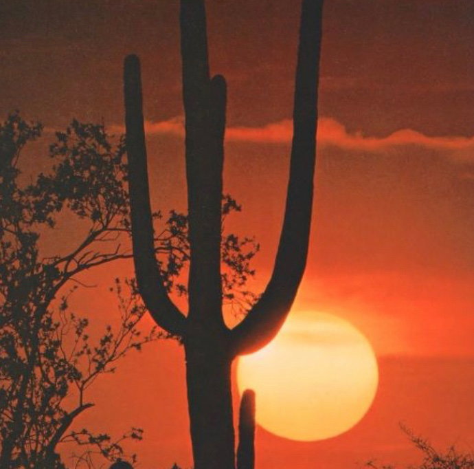 Rye Whiskey And Sunset Canyons