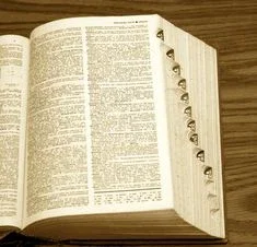 Dictionary/Thesaurus 