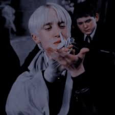 Draco Malfoy