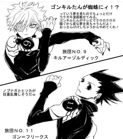 Killua Zoldyck and Gon Freecss