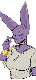 Beerus (battle of gods)