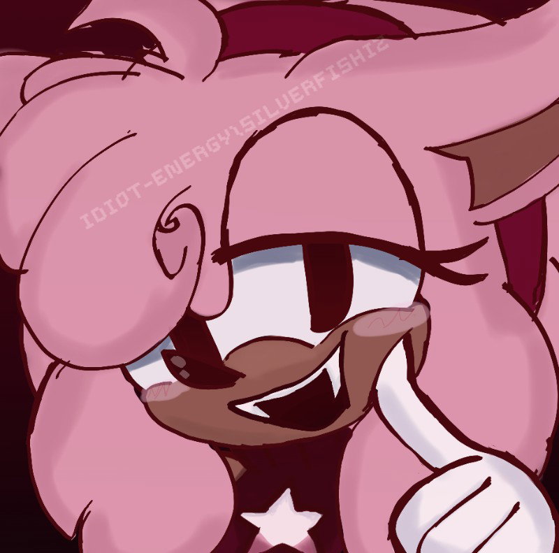 Aster the hedgehog