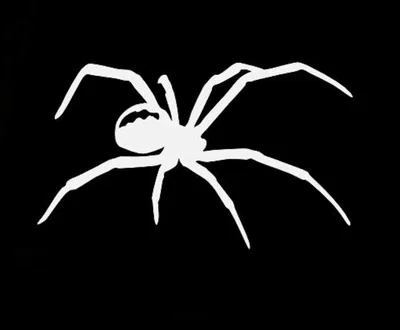 Blackwidows