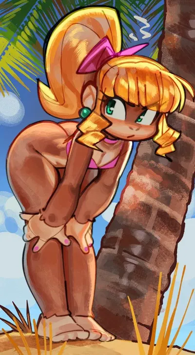 Nonchalant Beach Goer || Dixie Kong