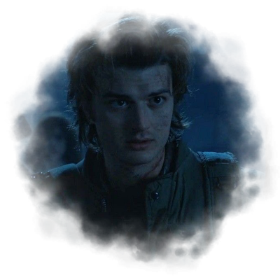 ⋮ ⌗ ┆ steve harrington