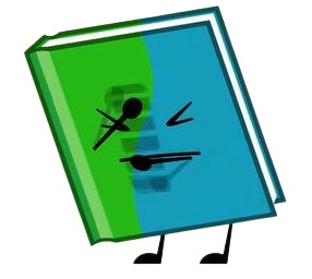BOOK — BFDIA