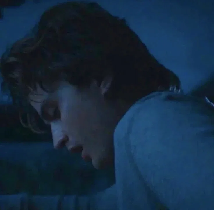 Steve Harrington 