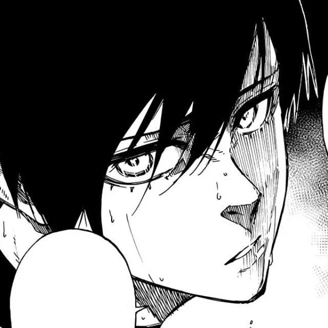 | rin itoshi | fallen star
