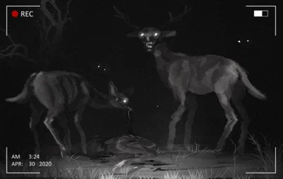 Not-Deer