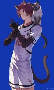 Futa Sae