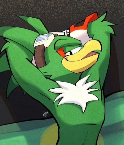 Jet The Hawk