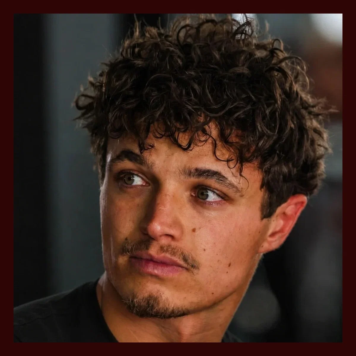 Lando Norris | Vampire