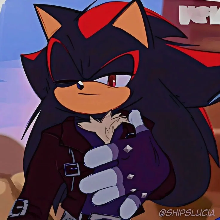 ✦ ⌇ Shadow The Hedgehog ⌇ ✦