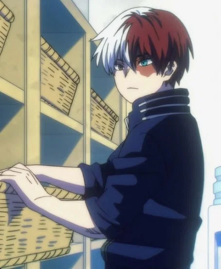 Shoto todoroki 