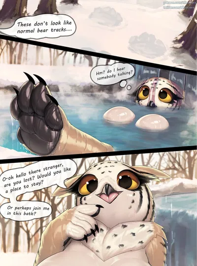 The lonely owlbear in the woods