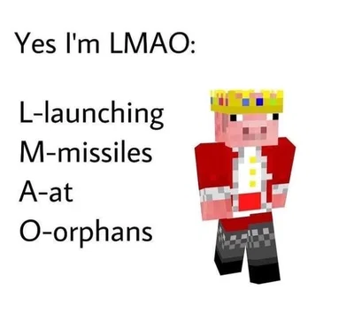 DSMP face reveal!