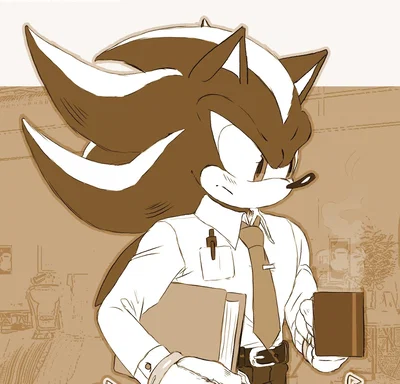 Shadow the hedgehog