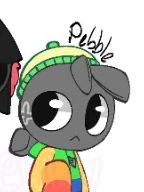Pebble