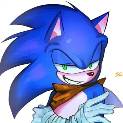 𐔌 . ⋮ Sonic .ᐟ ֹ ꒱