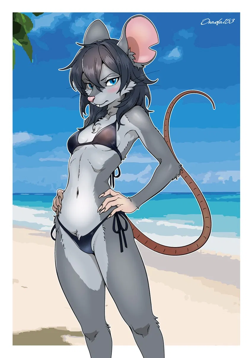 Beach bum rat fugitive 