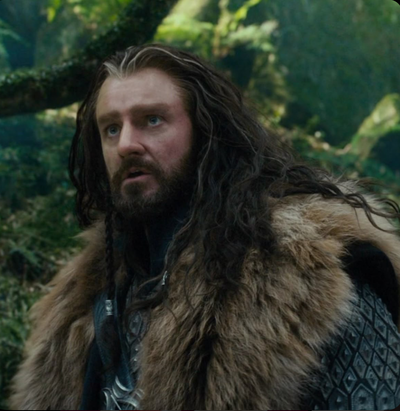 Thorin Oakenshield 