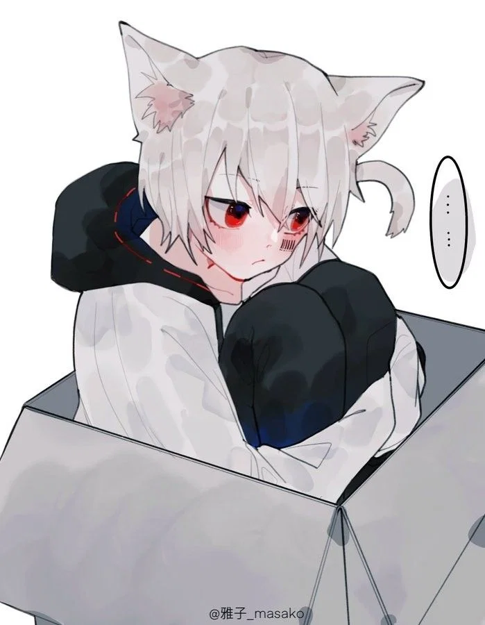 Unboxed Catboy