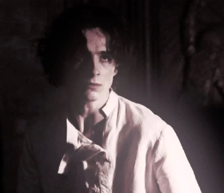Regulus Black 