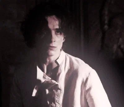 Regulus Black 