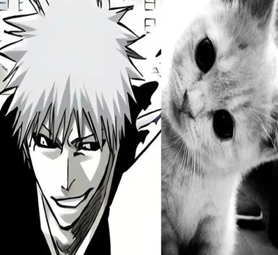 Zangetsu