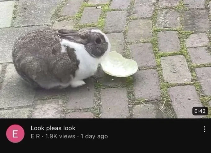 ok.