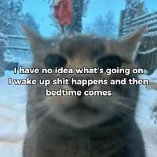  ̇⋆✮ My account is pretty much fucking dead. ✮⋆ ̇