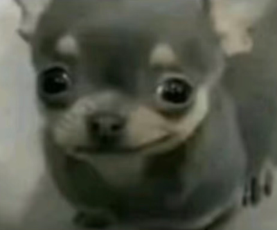 Demonic chuwawa