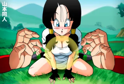 Videl Flying Lesson (Dragon Ball Z)