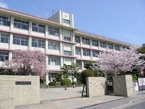 ESCUELA DE LA SECUNDARIA [Sakura] | 🇯🇵/🌸
