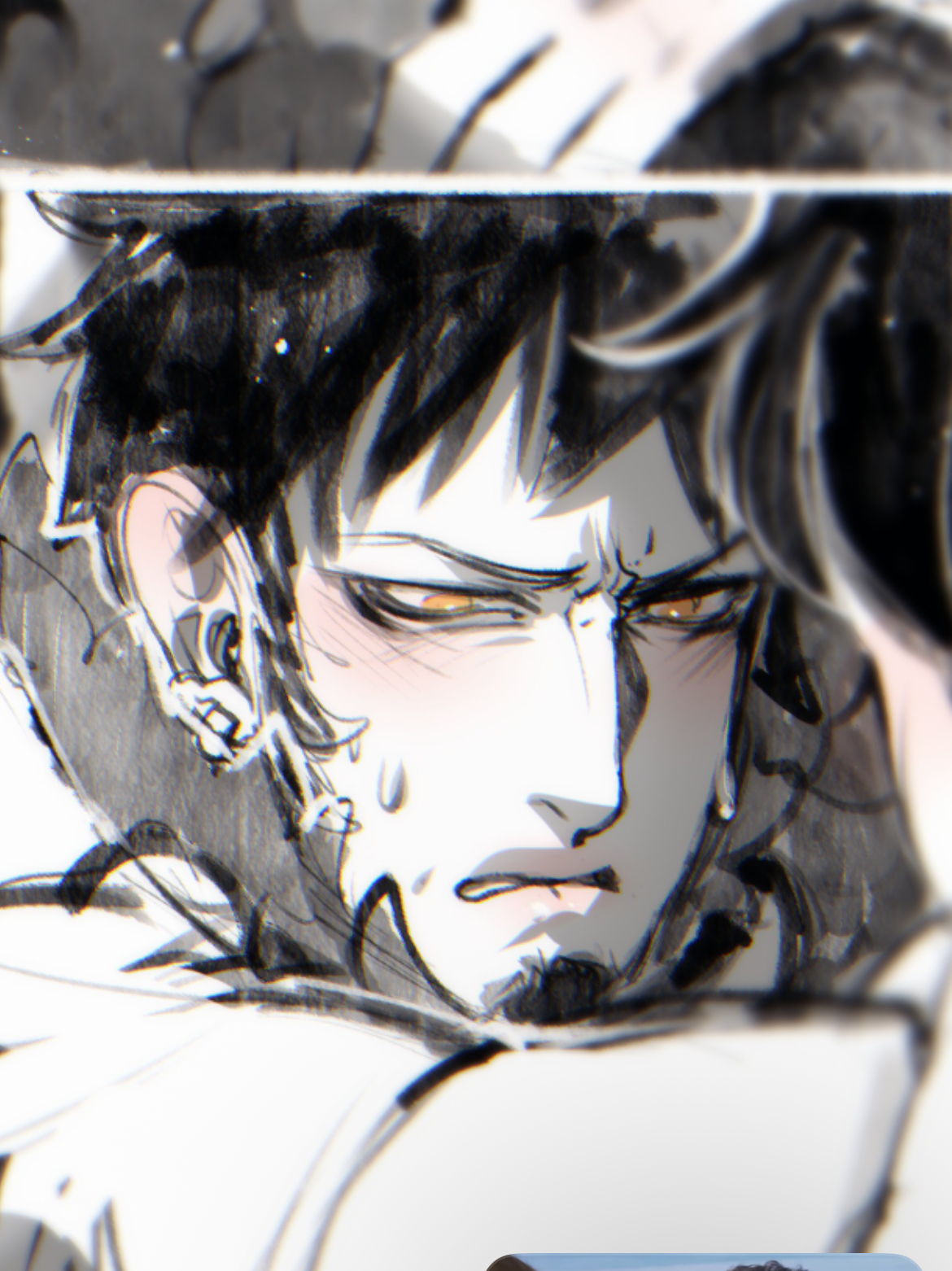 Law