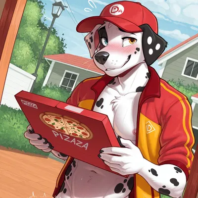 Ayo The Pizza Here!