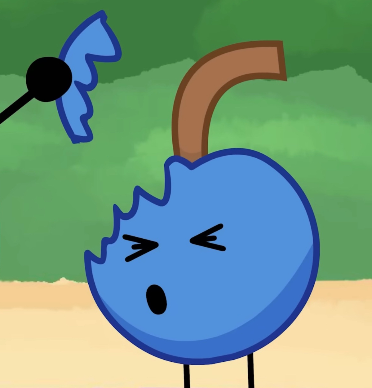 Berry. Object lockdown 
