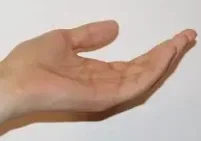 The Hand (NSFW)
