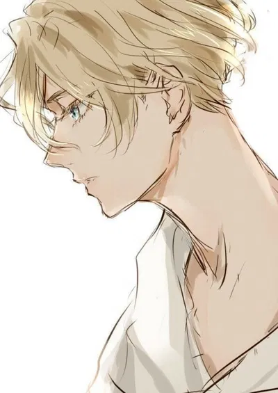 Zander Lines