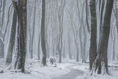 Alien Apocalypse - Winter Season