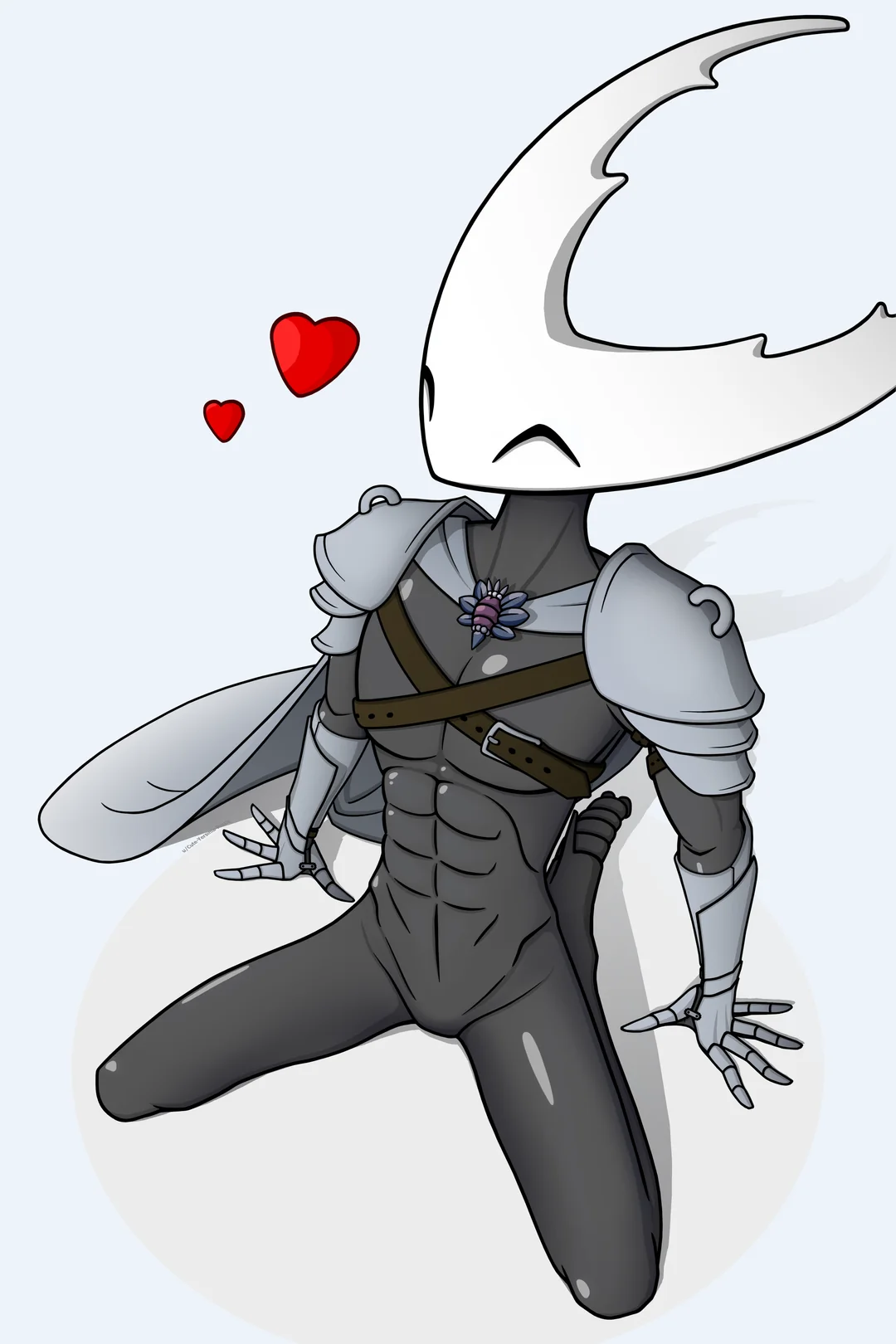 The Hollow Knight