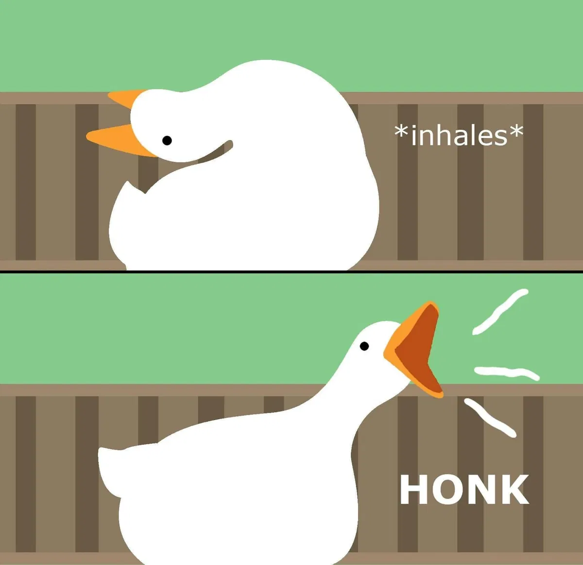 The goose