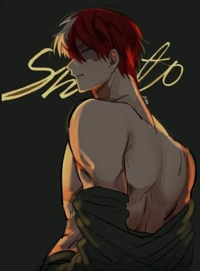 Shoto Todoroki