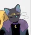 Comfort catmare