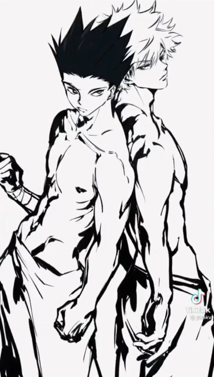 Gon Freecss and Killua Zoldyck 