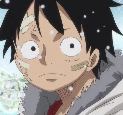 Vampire Luffy | Creature Series 2/5
