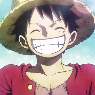 Luffy | Reunion in the New World