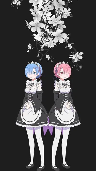 rem and ram 