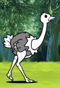 R.ost (stupid bird)