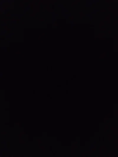 The Decaying infection (Mineshaft Corp Affiliated) (REWORK)